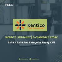 Planet E-Com Solutions(PECS) image 3